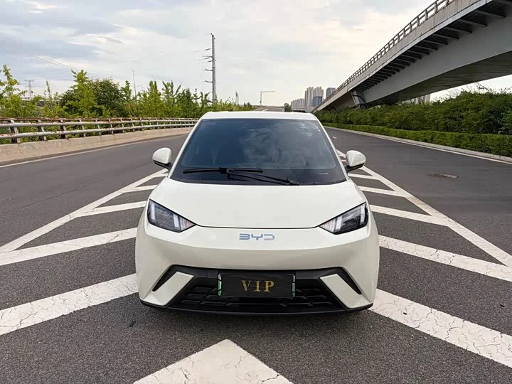 比亚迪 海鸥 2023款 活力版 前脸实拍